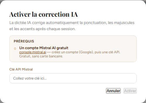 Fenêtre de saisie de la clé API Mistral
